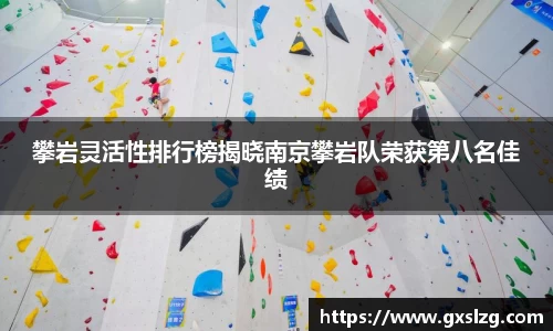 攀岩灵活性排行榜揭晓南京攀岩队荣获第八名佳绩